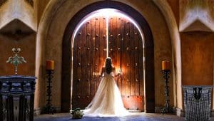 The Best Wedding Photographer in Tucson, AZ