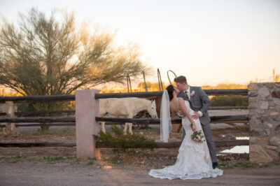 Oasis-at-Wild-Horse-Ranch-Wedding-155