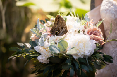 Botanical_Gardens_Wedding-59